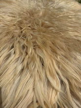 Load image into Gallery viewer, Churro Sheep Hide 7