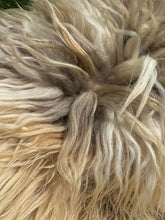 Load image into Gallery viewer, Churro Sheep Hide 7