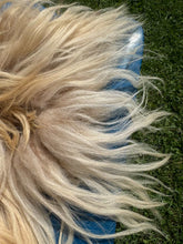 Load image into Gallery viewer, Churro Sheep Hide 7