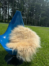 Load image into Gallery viewer, Churro Sheep Hide 8