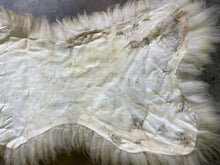 Load image into Gallery viewer, Churro Sheep Hide 4