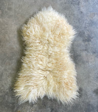 Load image into Gallery viewer, Churro Sheep Hide 4