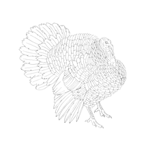 Load image into Gallery viewer, Heritage Turkey