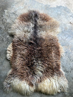Churro Sheep Hide 19