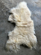 Churro Sheep Hide 16