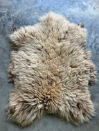 Churro Sheep Hide 12
