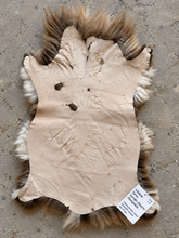 Load image into Gallery viewer, Churro Sheep Hide 32
