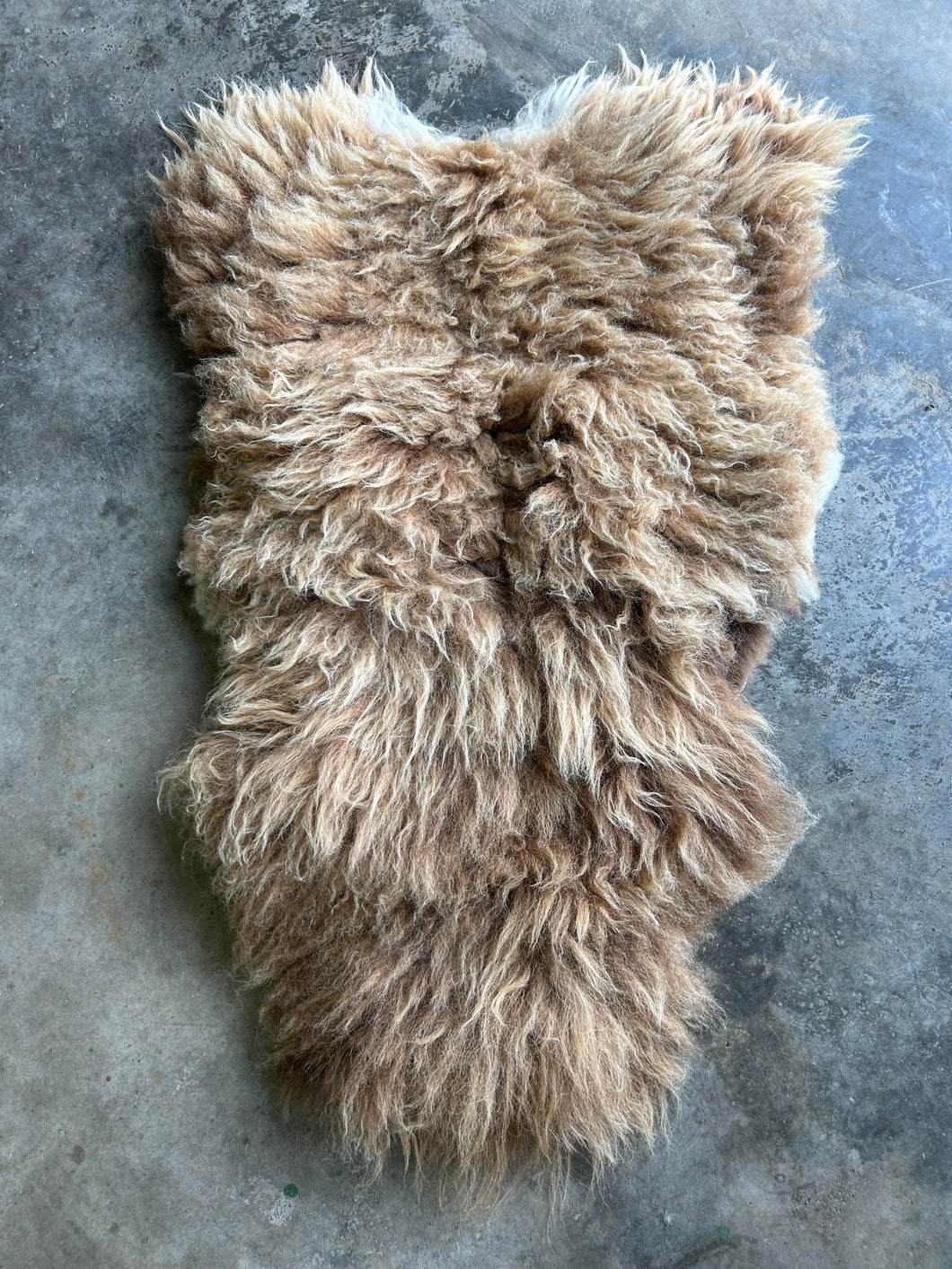 Churro Sheep Hide 14