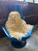 Load image into Gallery viewer, Churro Sheep Hide 15
