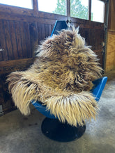 Load image into Gallery viewer, Churro Sheep Hide 22

