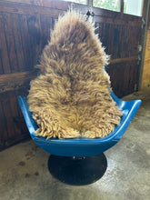 Load image into Gallery viewer, Churro Sheep Hide 14
