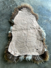 Load image into Gallery viewer, Churro Sheep Hide 14

