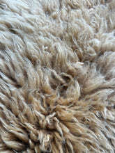 Load image into Gallery viewer, Churro Sheep Hide 12

