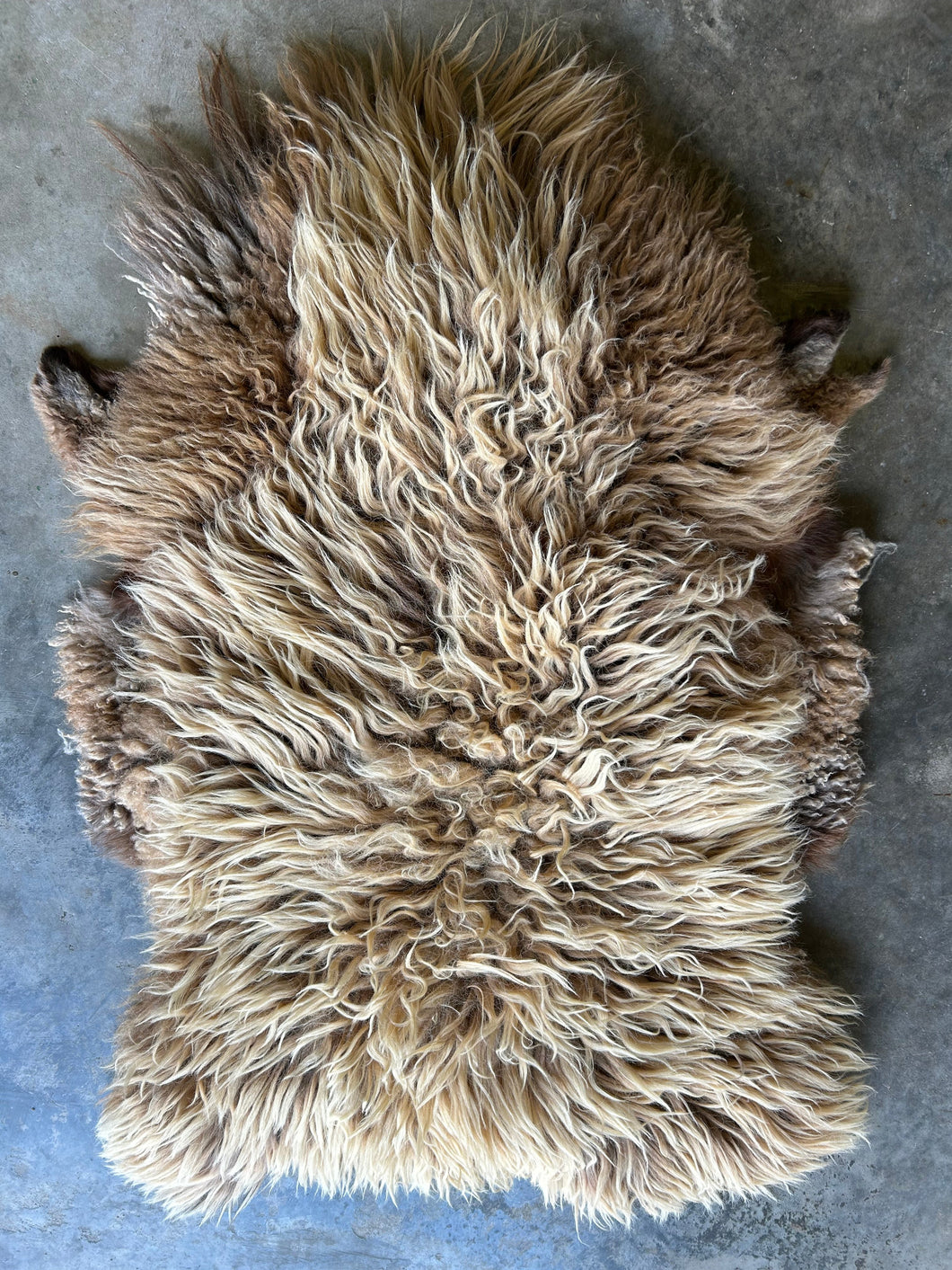 Churro Sheep Hide 25