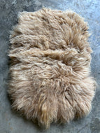 Churro Sheep Hide 8