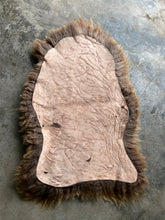Load image into Gallery viewer, Churro Sheep Hide 17

