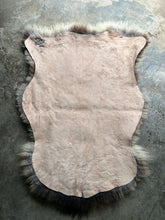 Load image into Gallery viewer, Churro Sheep Hide 19

