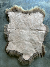 Load image into Gallery viewer, Churro Sheep Hide 12
