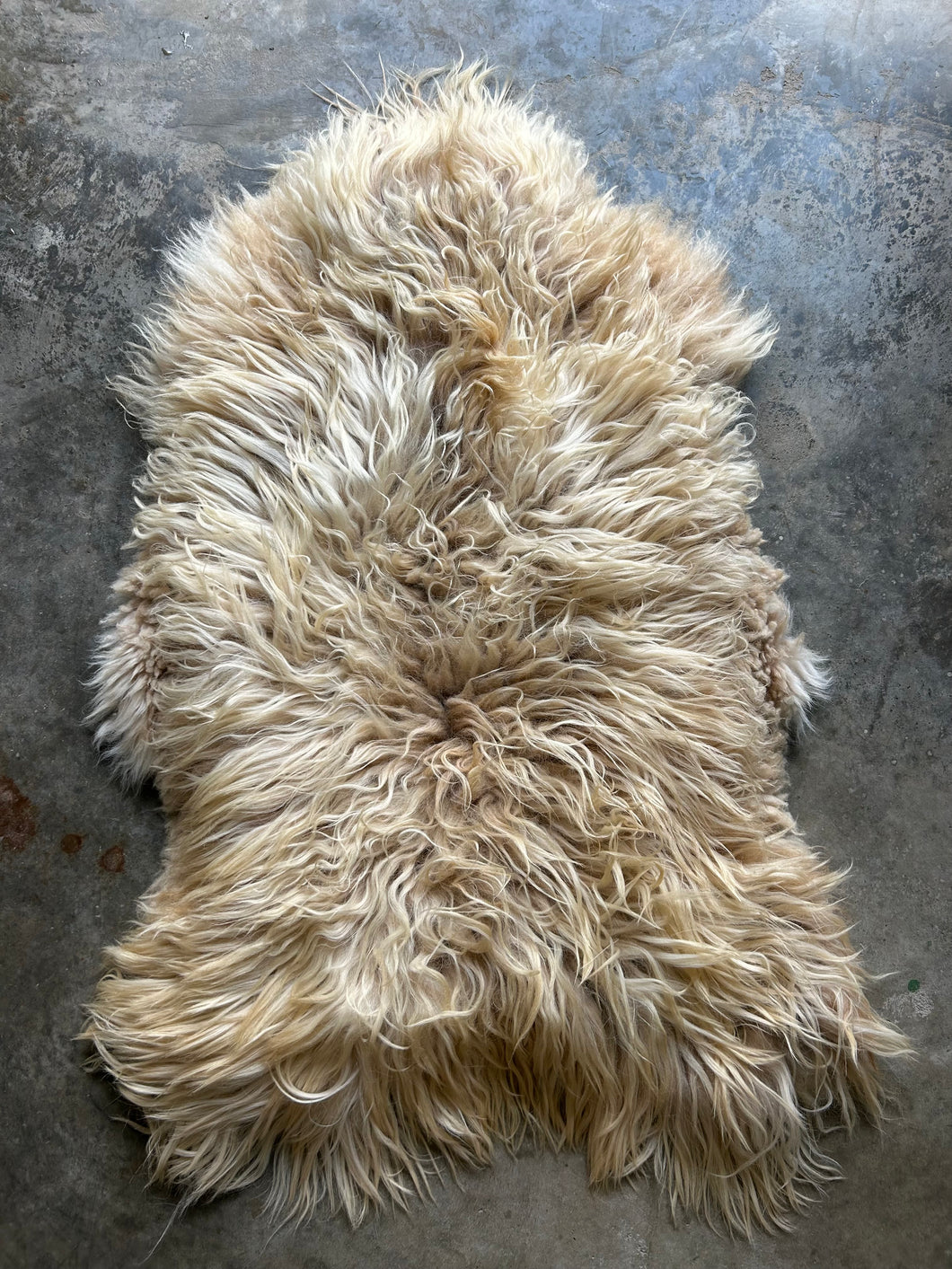 Churro Sheep Hide 7