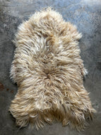 Churro Sheep Hide 7