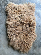 Churro Sheep Hide 17
