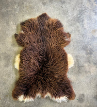 Load image into Gallery viewer, Churro Sheep Hide 30
