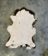 Load image into Gallery viewer, Churro Sheep Hide 30
