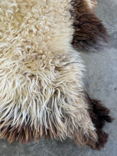 Load image into Gallery viewer, Churro Sheep Hide 28
