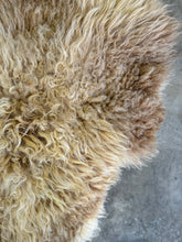 Load image into Gallery viewer, Churro Sheep Hide 27
