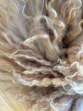 Load image into Gallery viewer, CJ Sews X Wildom Sheepskin Collar #7
