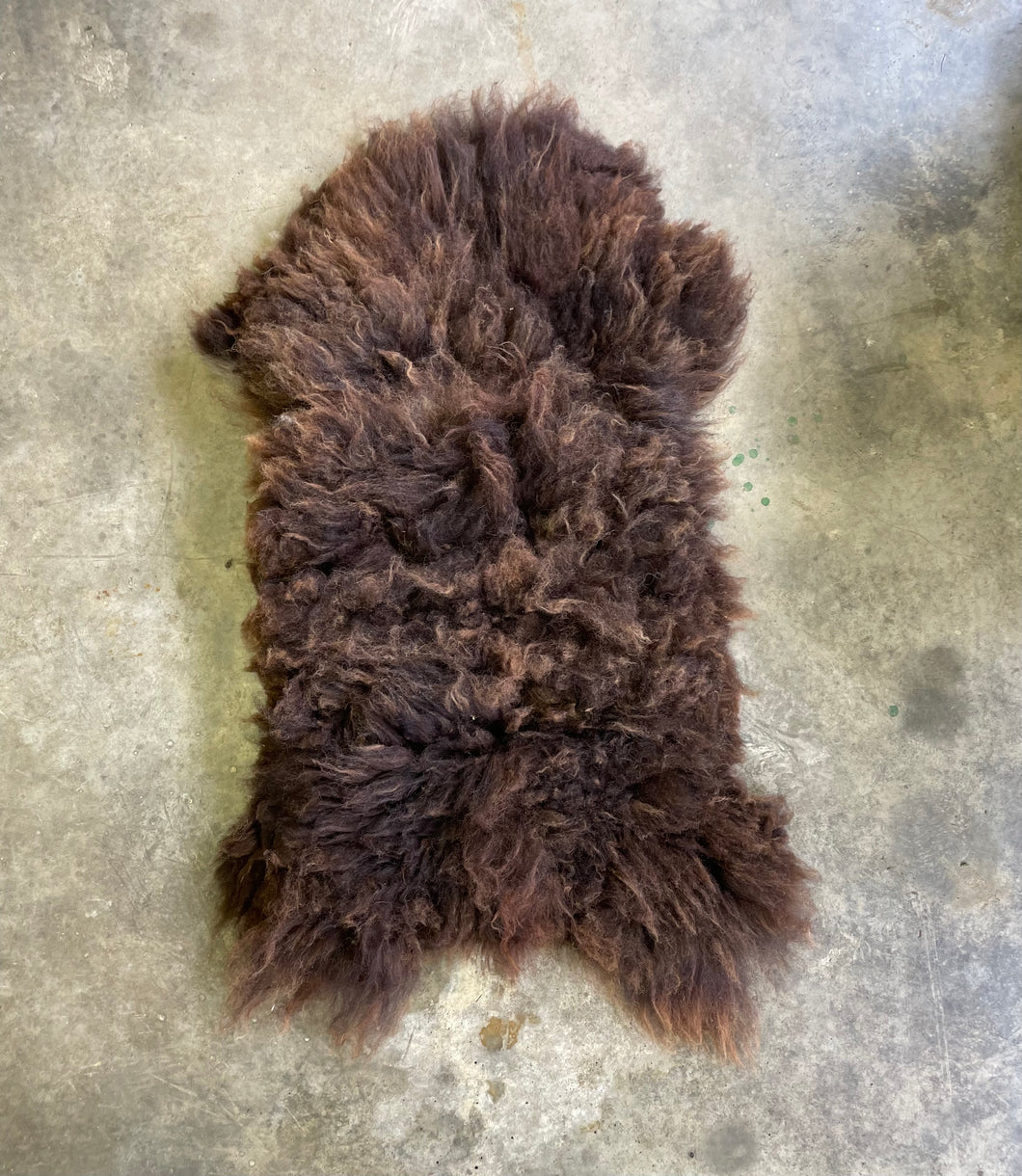 Churro Sheep Hide 6
