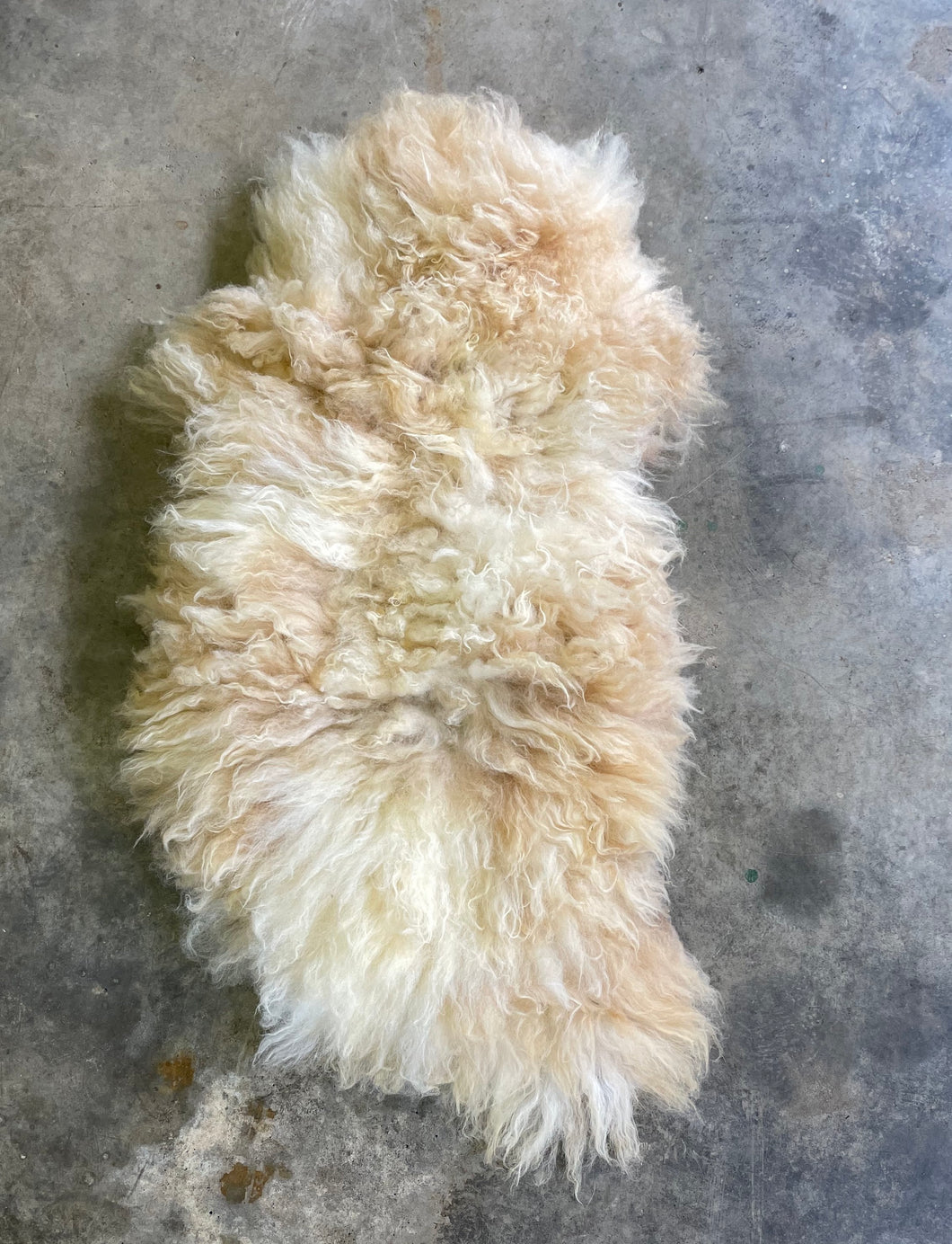 Churro Sheep Hide 5