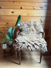 Load image into Gallery viewer, Churro Sheep Hide 32
