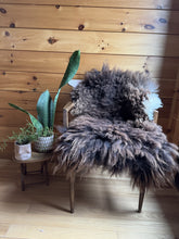 Load image into Gallery viewer, Churro Sheep Hide 33
