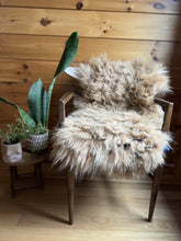 Load image into Gallery viewer, Churro Sheep Hide 34
