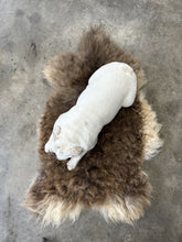 Load image into Gallery viewer, Churro Sheep Hide 35
