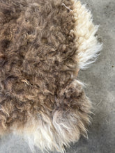 Load image into Gallery viewer, Churro Sheep Hide 35
