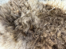 Load image into Gallery viewer, Churro Sheep Hide 35
