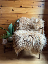Load image into Gallery viewer, Churro Sheep Hide 36
