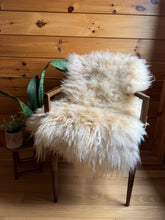 Load image into Gallery viewer, Churro Sheep Hide 41
