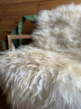 Load image into Gallery viewer, Churro Sheep Hide 41
