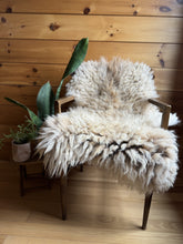 Load image into Gallery viewer, Churro Sheep Hide 42
