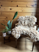 Load image into Gallery viewer, Churro Sheep Hide 43
