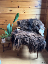 Load image into Gallery viewer, Churro Sheep Hide 44
