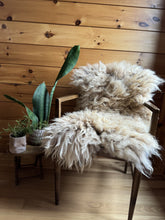 Load image into Gallery viewer, Churro Sheep Hide 45
