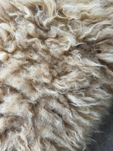 Load image into Gallery viewer, Churro Sheep Hide 45
