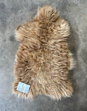 Load image into Gallery viewer, Churro Sheep Hide 39
