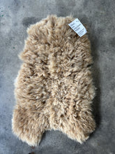 Load image into Gallery viewer, Churro Sheep Hide 43
