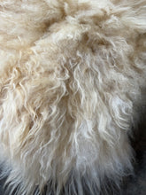 Load image into Gallery viewer, Churro Sheep Hide 41
