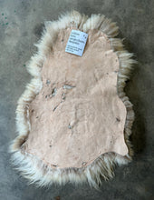 Load image into Gallery viewer, Churro Sheep Hide 41
